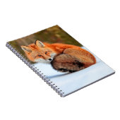 Carnet Renard Rouge En Neige | Yukon (Côté Droit)