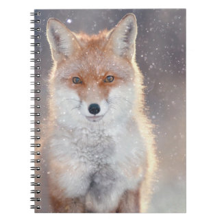 Carnet Renard rouge, forêt d'hiver, illustration pittores