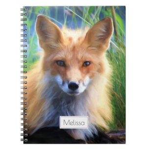 Carnet Renard rouge Laying in the Grass Pittoresque Perso