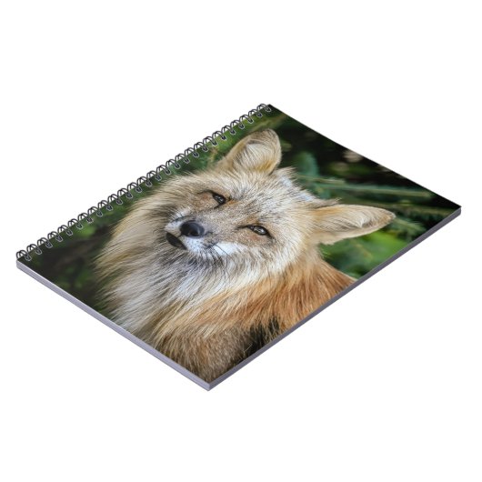 Carnet Renard sauvage (Côté gauche)