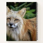 Carnet Renard sauvage (Dos)