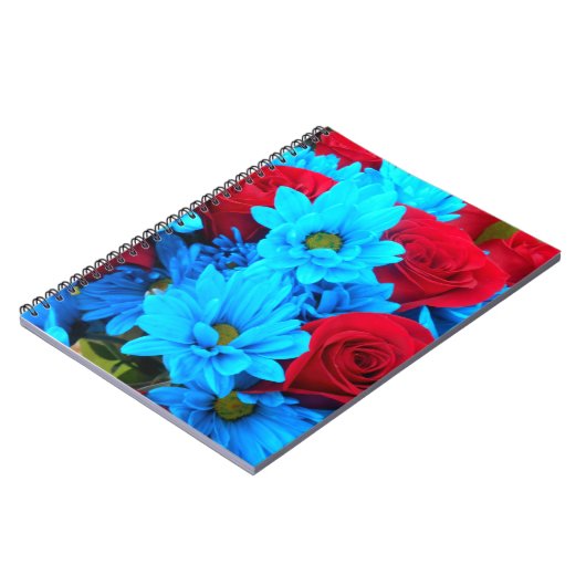 Carnet Renilde (Côté gauche)