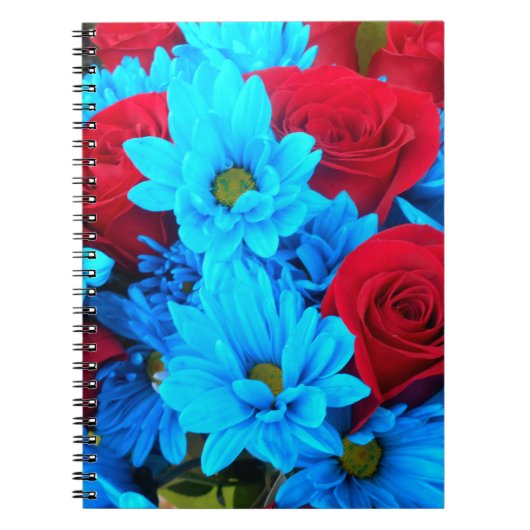 Carnet Renilde (Devant)