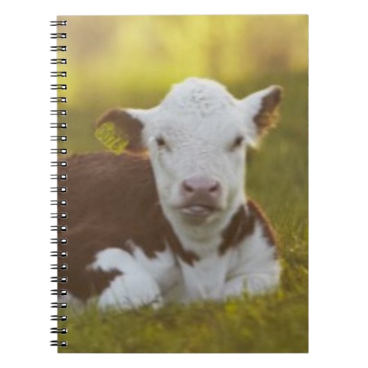 Carnet Repos de veau (Devant)