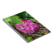 Carnet Repose de la pivoine rose (Côté Droit)