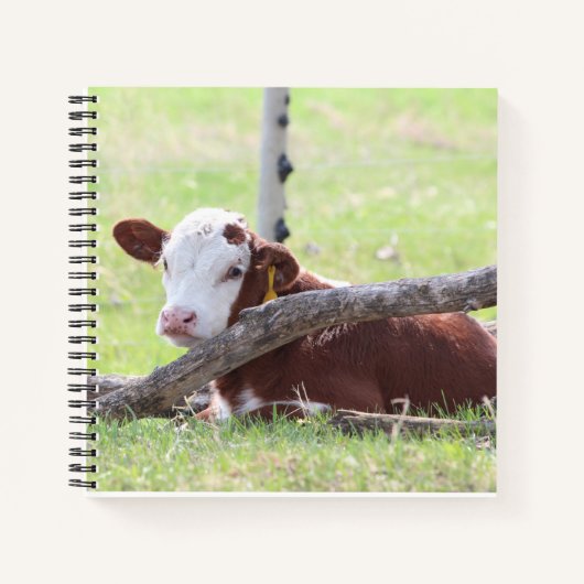 Carnet Repose Hereford Calf (Devant)