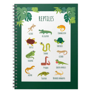 Carnet Reptiles Éducation scolaire Apprentissage