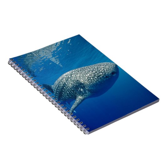 Carnet Requin baleine (Côté Droit)
