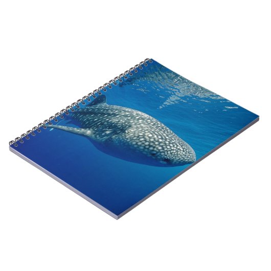 Carnet Requin baleine (Côté gauche)
