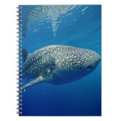 Carnet Requin baleine (Devant)