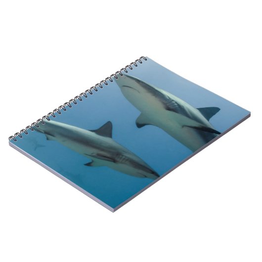 Carnet Requin des Caraïbes (Côté gauche)