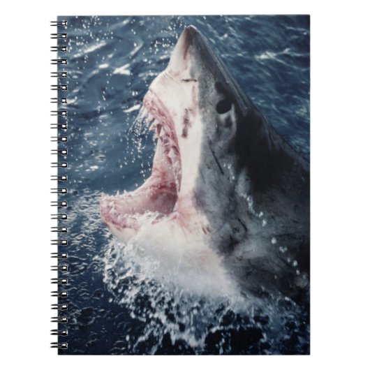Carnet Requin élevé bouche ouverte (Devant)