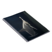 Carnet Requin marteau (Côté Droit)