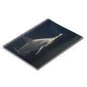 Carnet Requin marteau (Côté gauche)