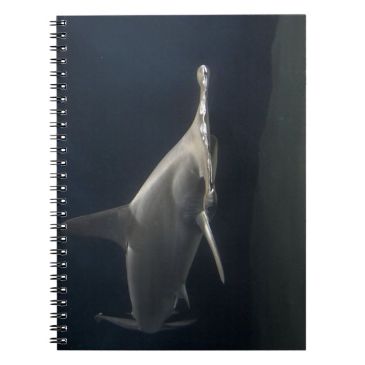 Carnet Requin marteau (Devant)