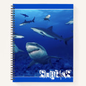 Carnet Requins-carnets (Devant)