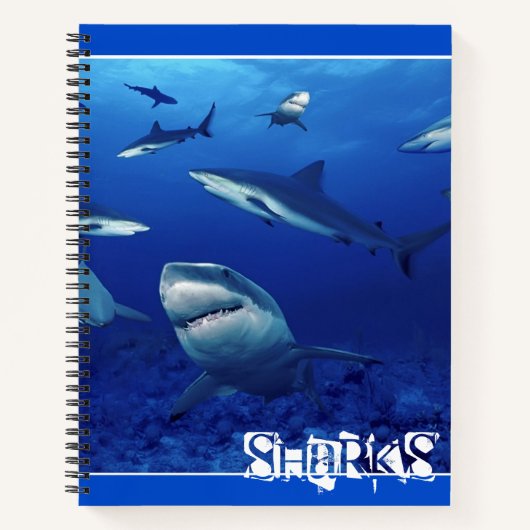 Carnet Requins-carnets (Devant)