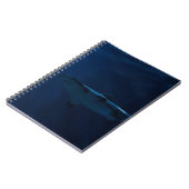 CARNET REQUINS GRAS DANS LE CORPS D'EAU (Côté gauche)