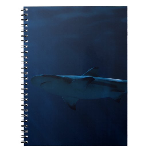 CARNET REQUINS GRAS DANS LE CORPS D'EAU (Devant)