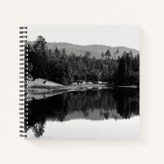 Carnet Réservoir à voilure.... (Devant)