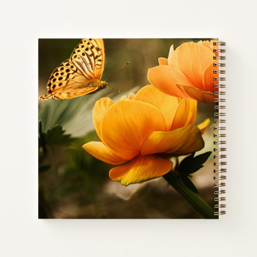 Carnet Résilience Couverture rigide (Dos)