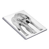 Carnet Résolution ajustée (Côté Droit)