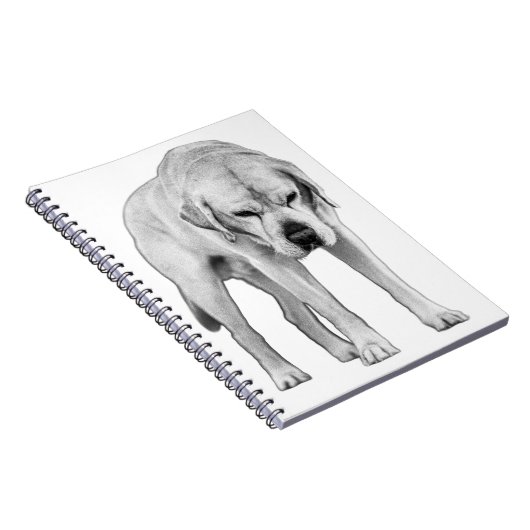 Carnet Résolution ajustée (Côté Droit)