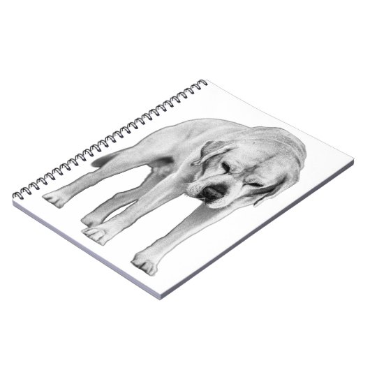 Carnet Résolution ajustée (Côté gauche)