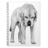 Carnet Résolution ajustée (Devant)