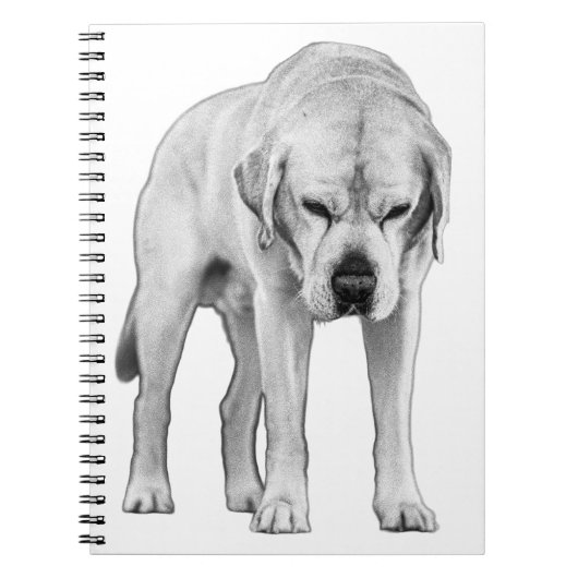 Carnet Résolution ajustée (Devant)