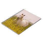 Carnet Ressort (Côté gauche)