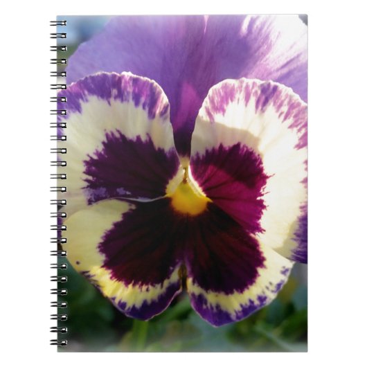 Carnet ressort coloré Pansy (Devant)