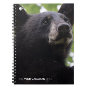 Carnet Ressort - Ours noir