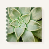 Carnet Ressort Succulent (Devant)