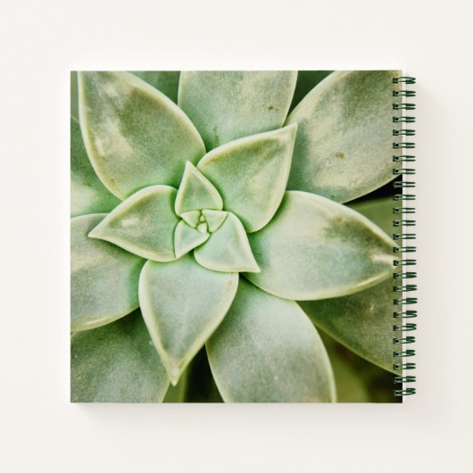Carnet Ressort Succulent (Dos)