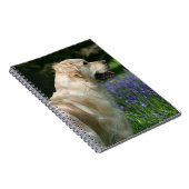 Carnet Retreiver d'or en fleurs (Côté Droit)