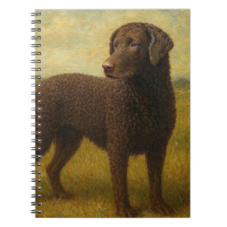 Carnet Retriever à poil frisé ondulé