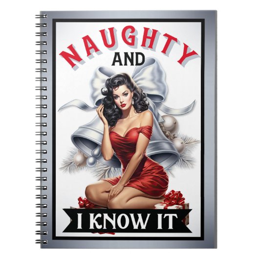 Carnet Retro Naughty et moi le savons Christmas Pinup (Devant)