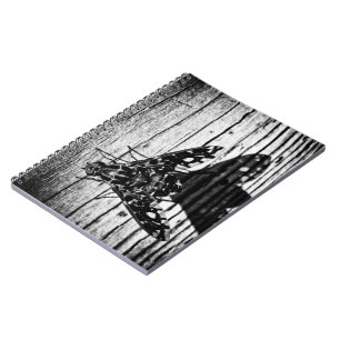 Carnet revenir en volant