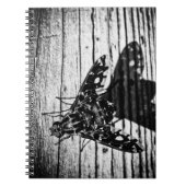 Carnet revenir en volant (Devant)