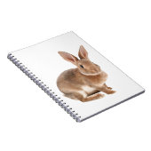 Carnet Rex lapin (Côté Droit)
