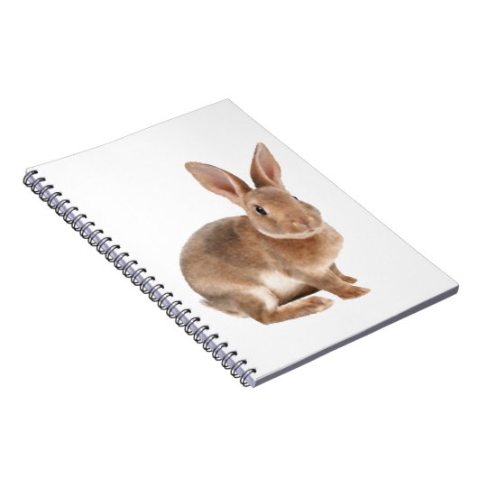 Carnet Rex lapin (Côté Droit)