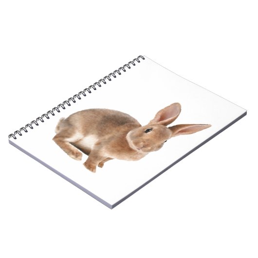 Carnet Rex lapin (Côté gauche)