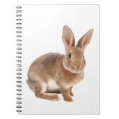 Carnet Rex lapin (Devant)