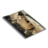 Carnet Rhino couché (Côté Droit)