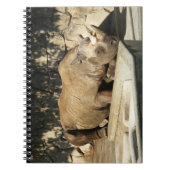 Carnet Rhino couché (Devant)