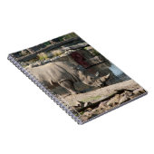 Carnet Rhinocéros (Côté Droit)