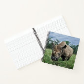 Carnet Rhinocéros noir | Kenya (Intérieur)