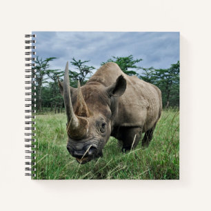 Carnet Rhinocéros noir Kenya