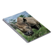 Carnet Rhinocéros noir | Kenya (Côté Droit)